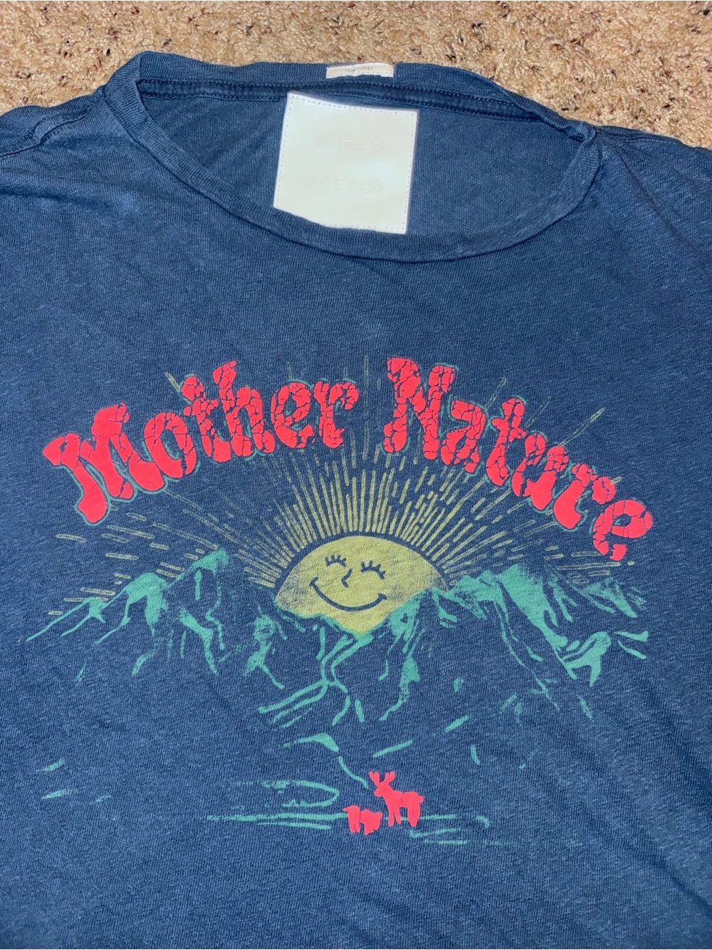 MOTHER Denim - The Sinful Tee - Mother Nature - Large - Picture 4 of 8